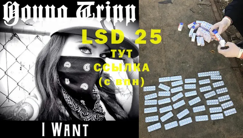 LSD-25 экстази кислота  где купить наркоту  Пудож 